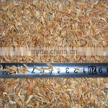 Small Dried Freshwater Shrimp Turtle Food