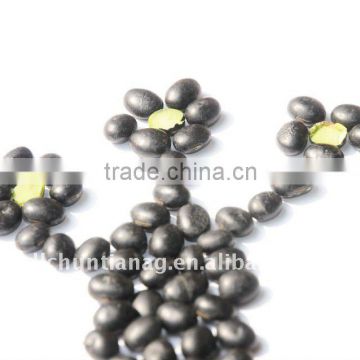 organic black soybeans with green kernel