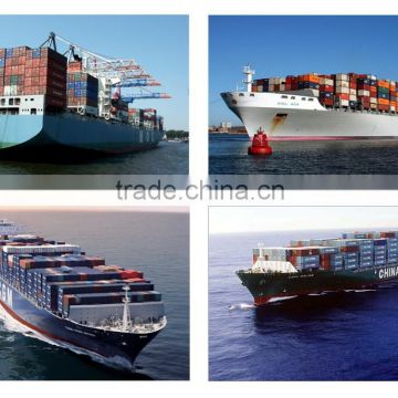 Foshan Shipping Container From China To Lebanon To Haiti Sea Shipping From China To Kingston Jamaica