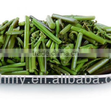 salted bracken green fern in 50kg drum