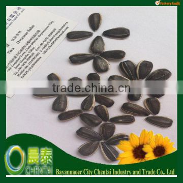 Hot Sell Round shape Striped Sunflower Seed