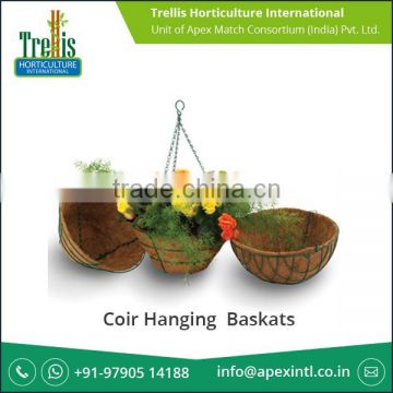 ISO 9001:2008 Certified Company Selling Coir Hanging Basket for Garden Stores
