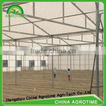multi-span commercial greenhouse from big greenhouse manufacturer in China