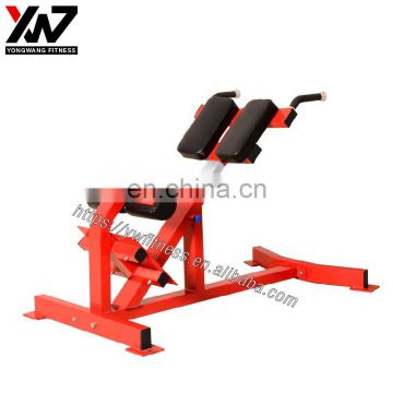 gym weights roman chair back extension