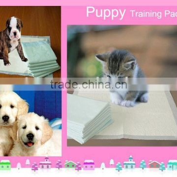 Good Habit Training Pad in size 60*90cm with high absorbency