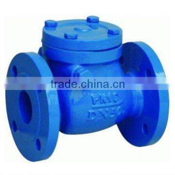 Swing Check Valve