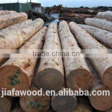 good quality pine logs