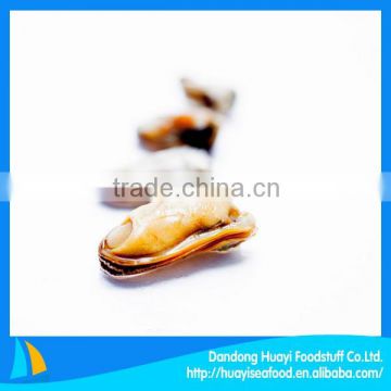 frozen iqf mussel meat with shell