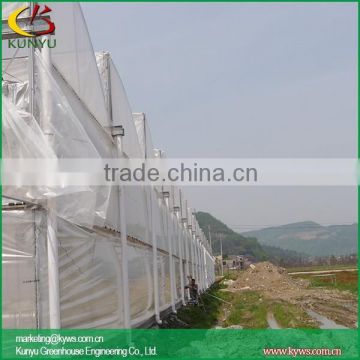 Large Sawtooth type plexiglass greenhouse polyethylene greenhouse