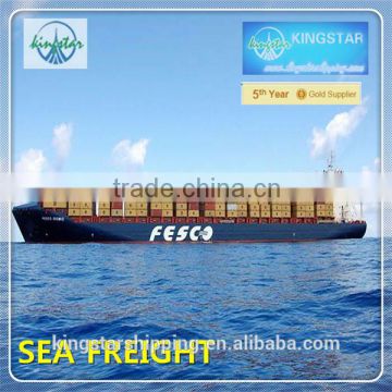 Cheap sea freight from China to Irapuato Mexico
