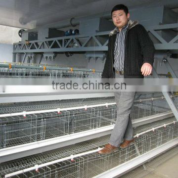 Directly manufacturer A type broiler chicken cage