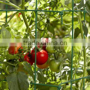 Square Folding Tomato Cages