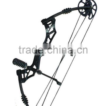 archery hunting compound bow