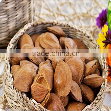 raw bitter almonds