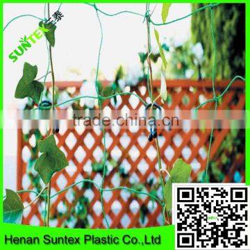 cucumber trellis net&hdpe support flower net&extruded pea and bean net