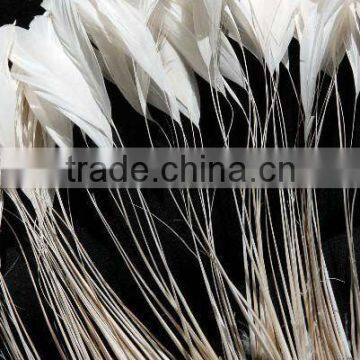 white stripped coque feathers LZXZ00289A