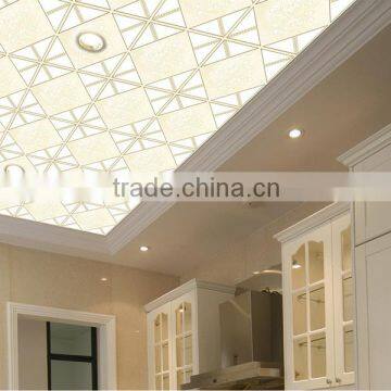 2016 New Popular 300x300MM Roof Ceiling Design