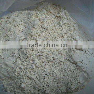 chinese high qualitygarlic powder 2013