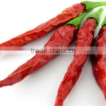 dry red wangdu chilli