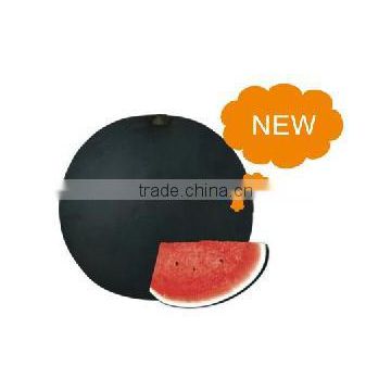 Black Ball Hybrid Watermelon Seeds