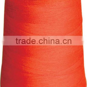 Meta-aramid Sewing Thread Ne303/Tex60