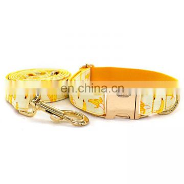 Yellow banana pattern pet dog collar with rose gold metal buckle polyester dog leash for safety