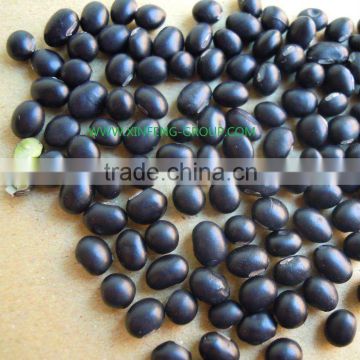 organic black bean green kernel
