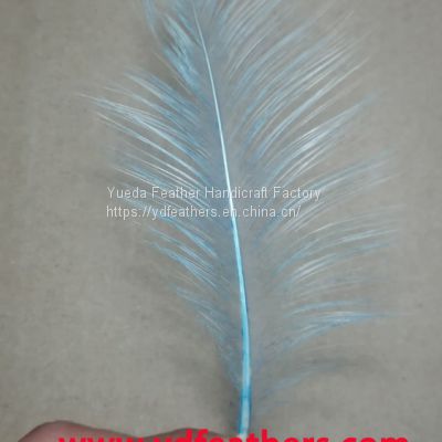 Burnt Goose Nageoires Feather Dyed Sky Blue From China