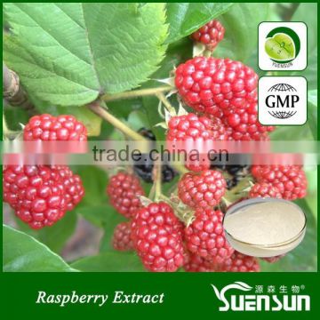 Low price raspberry powder 99% raspberry ketone raspberry seed extract