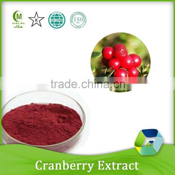 100% natural extracts manufacturer supply natural cranberry extract