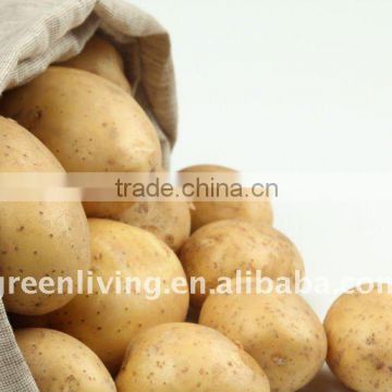 fresh potato market