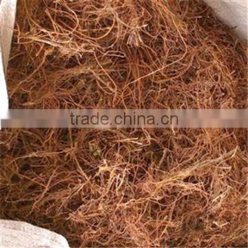 Low Price New Crop Chinese Gentian Root