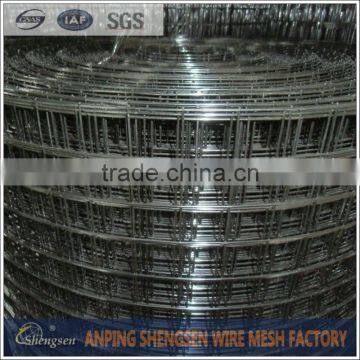 galvanized welded wire mesh 1 inch for sale