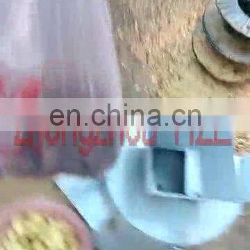 Chestnut shelling machine for electric chestnut peeler machine