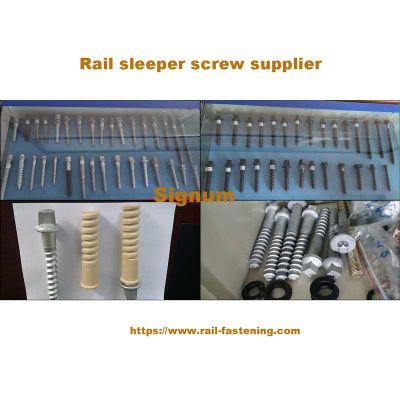 Railroad Rail Screw Spikes/Sleeper Screw/Rail Spike