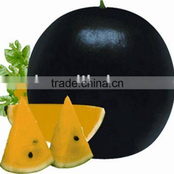 Black Pearl black rind yellow flesh hybrid watermelon seeds