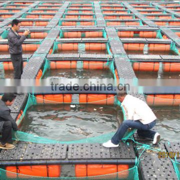 cage farming in lakes and rivers