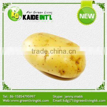 Fresh Preserved Potato Low Price