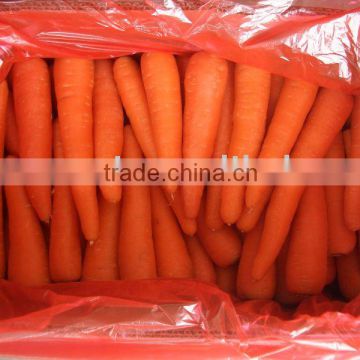 S L M fresh carrot from china