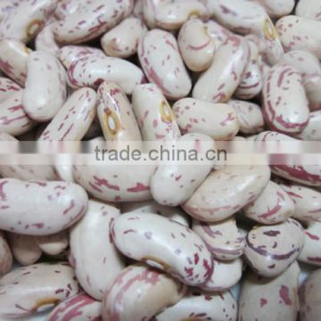 Agricultural Products-Chinese New Crop Light Speckled Kidney Beans With Good Quality