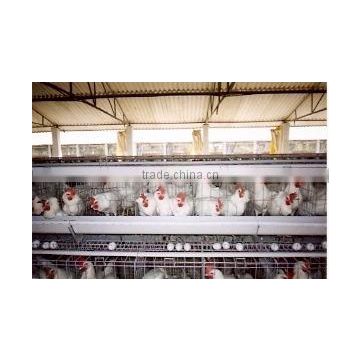 Poultry Cages