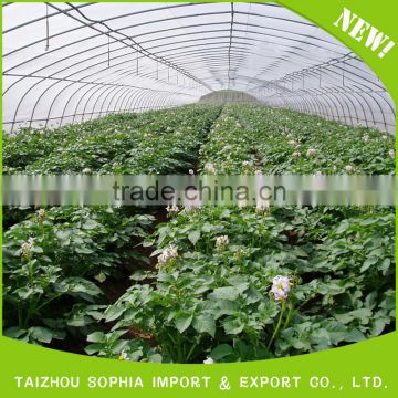 Factory manufacture various poly film greenhouse