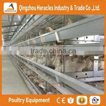Alibaba best selling poultry farming layer chicken cage-H type 4 or 5 layers for egg chicken