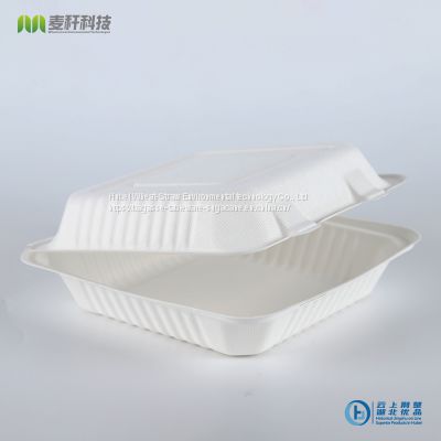 PFAS FREE Disposable Biodegradable 9*9 Take away Sugarcane Bagasse Clamshell container
