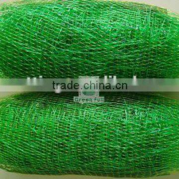 Climbing Plant Support Netting / Pea & Bean Net 2mx10m