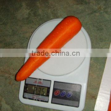 2014 New Fresh Carrot 200g up wiht 10kg/ctn