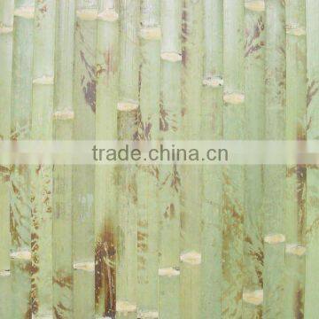 bamboo wallpaper