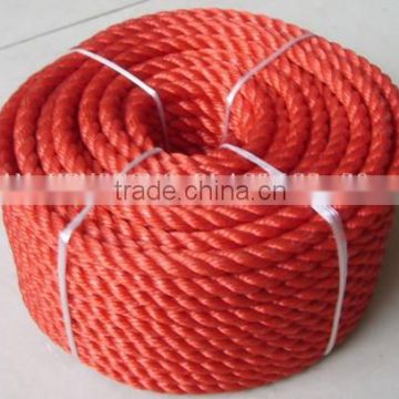pp twisted ropes