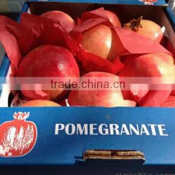 pomegranate all sizes