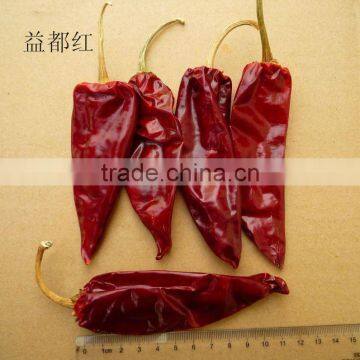 Dried Hot Chilli